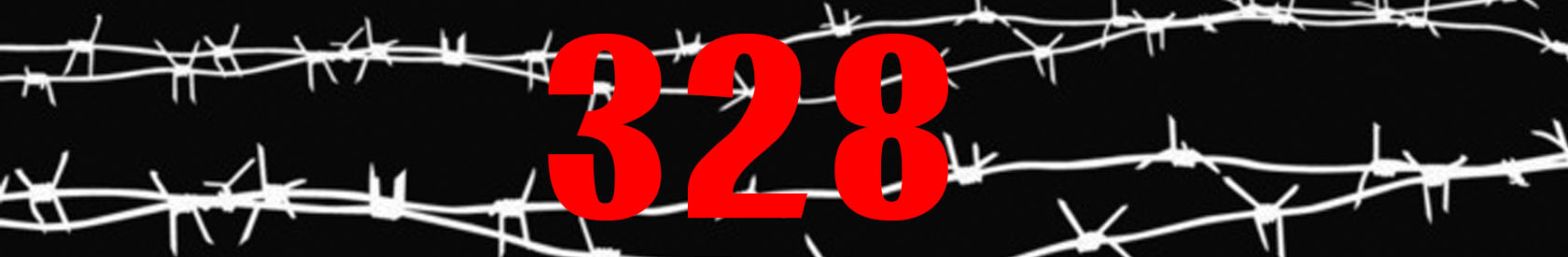 Не допустить плачевных последствий перегибов судебной системы: родные «детей-328» внесли предложения по амнистии-2020